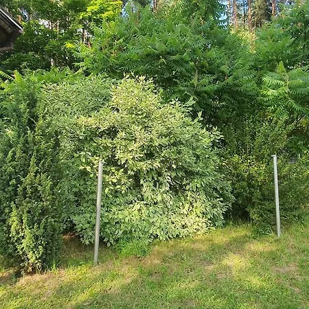 Caly Dom Bezposrednio Nad Jeziorem * Dluzki